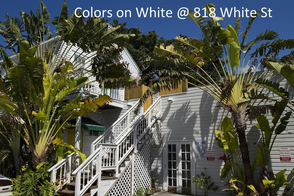Apartamento Colors On White